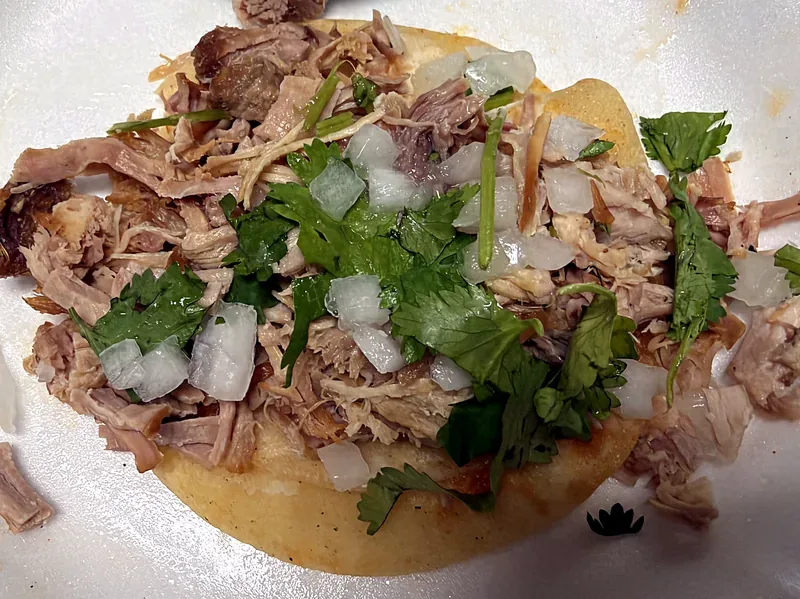 Carnitas taco with onion and cilantro