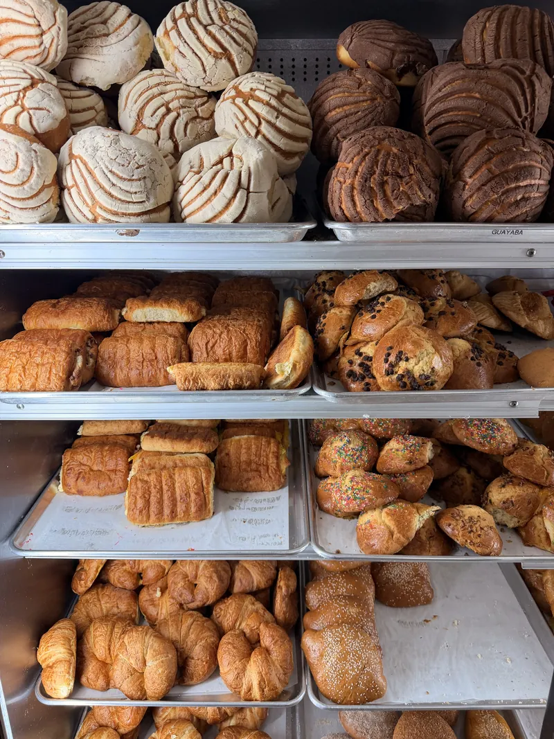 The pan dulce case at Carniceria Guadalajara: conchas on top, trays of pan dulce below